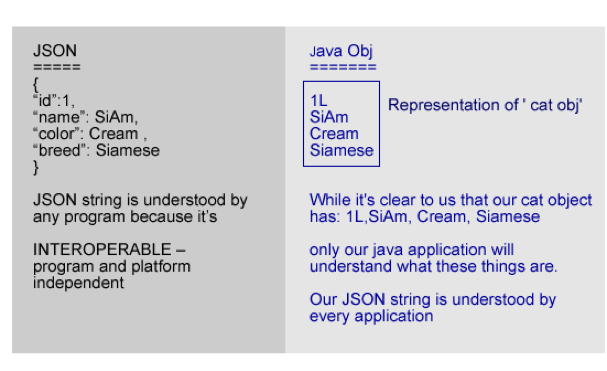 json to java
