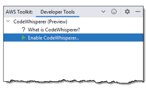 Developer tools - CodeWhisperer